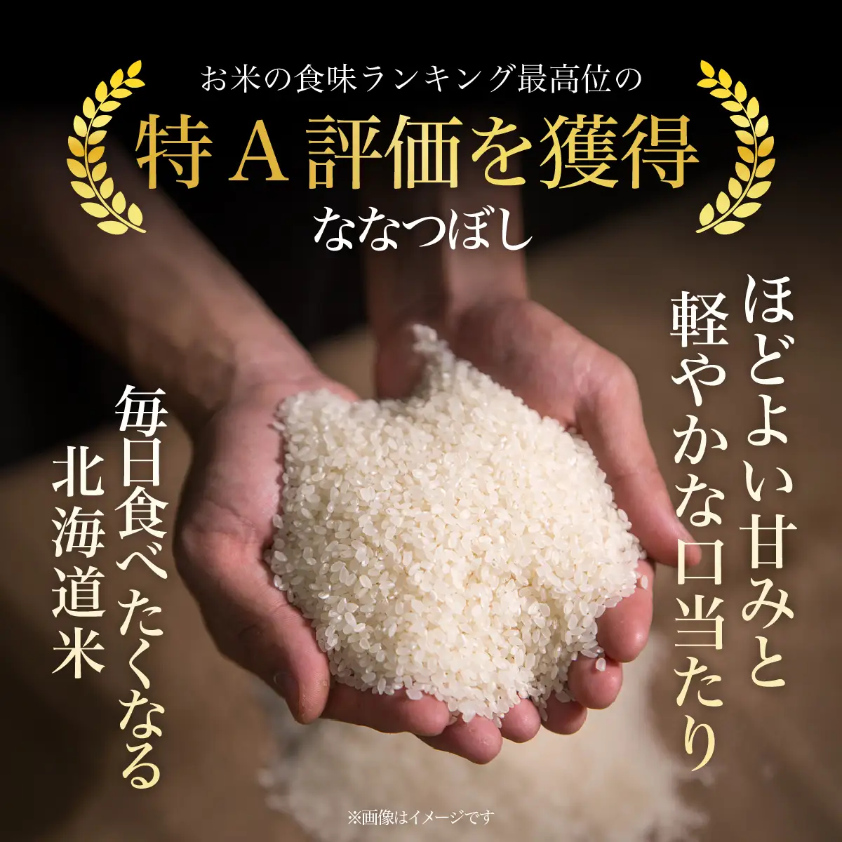 【令和7年産】北海道厚沢部産ななつぼし5kg ASG014