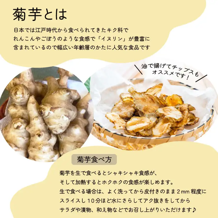 菊芋堀り 体験 （10kgまでお持ち帰りいただけます） 芋ほり 芋掘り お持ち帰り お土産 みやげ 粉末 パウダー イヌリン 国産 いも 菊芋茶 菊芋チップス SDGs エコ サスティナブル 農薬不使用