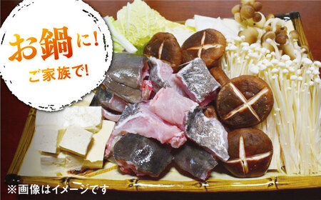 天然 高級魚 クエ 切り身 600g 【長崎県 対馬産】 活〆 新鮮 海鮮 魚介 海の幸 急速冷凍 クエ鍋  [WBU001]