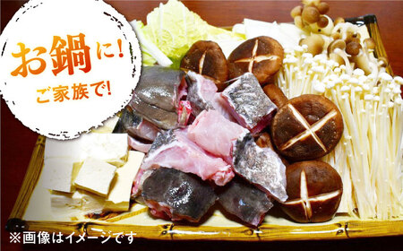 天然 高級魚 クエ 切り身 400g 【長崎県 対馬産】 活〆 新鮮 海鮮 魚介 海の幸 急速冷凍 クエ鍋 1ー2人前  [WBU002]