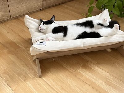 【リアルダウン使用】 プレミアム ハンモックタイプの 羽毛ペットベッド 天然鉱石配合 犬や猫が喜ぶ！ H162-035
