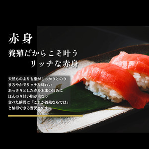 (1356)マグロ 本マグロ まぐろ 鮪 山口県 長門市 油谷産 希少 養殖 赤身 1ｋg 脂乗り抜群 とろける 冷凍 柵 ギフト 贈答 