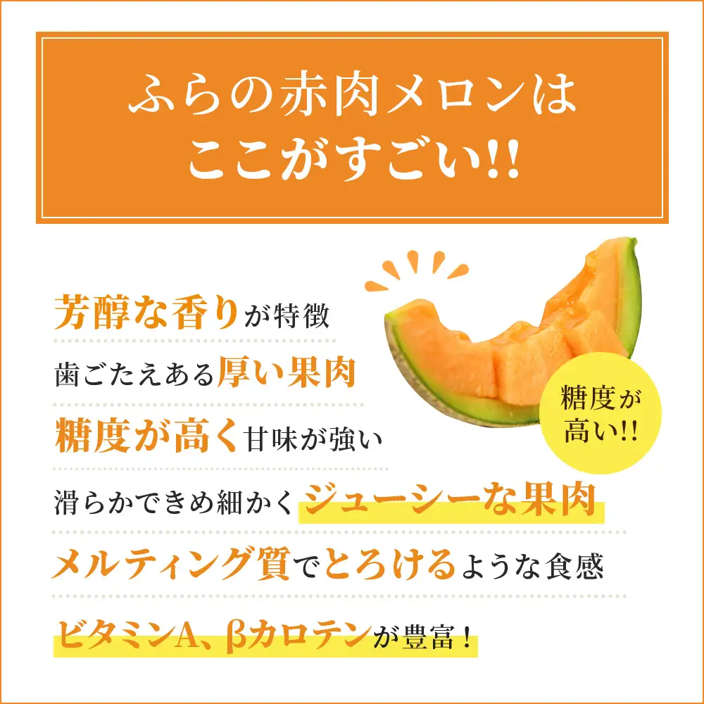 【令和8年産】ふらの 赤肉メロン 2kg～2.6kg 2玉 厳選 秀品 メロン