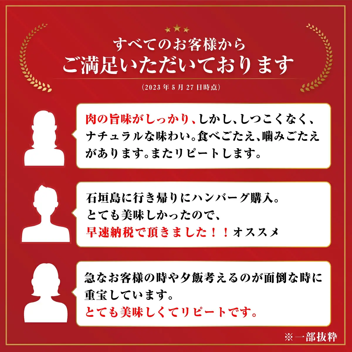 石垣牛 ハンバーグ セット (100g×10個)＜2026年10月発送＞