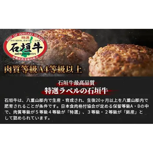 石垣牛ハンバーグ120g×10個AB-13-2