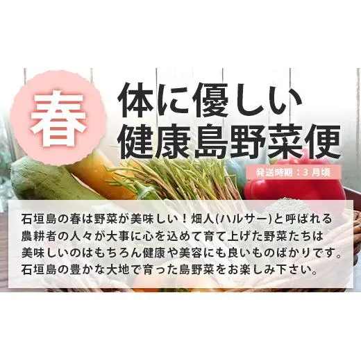 【4回/年定期配送 石垣島のタカラモノ便】 SH-3 春夏秋冬のお楽しみ