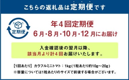 【年4回定期便】カラフルミニトマト 約1kg トマト 高森町産