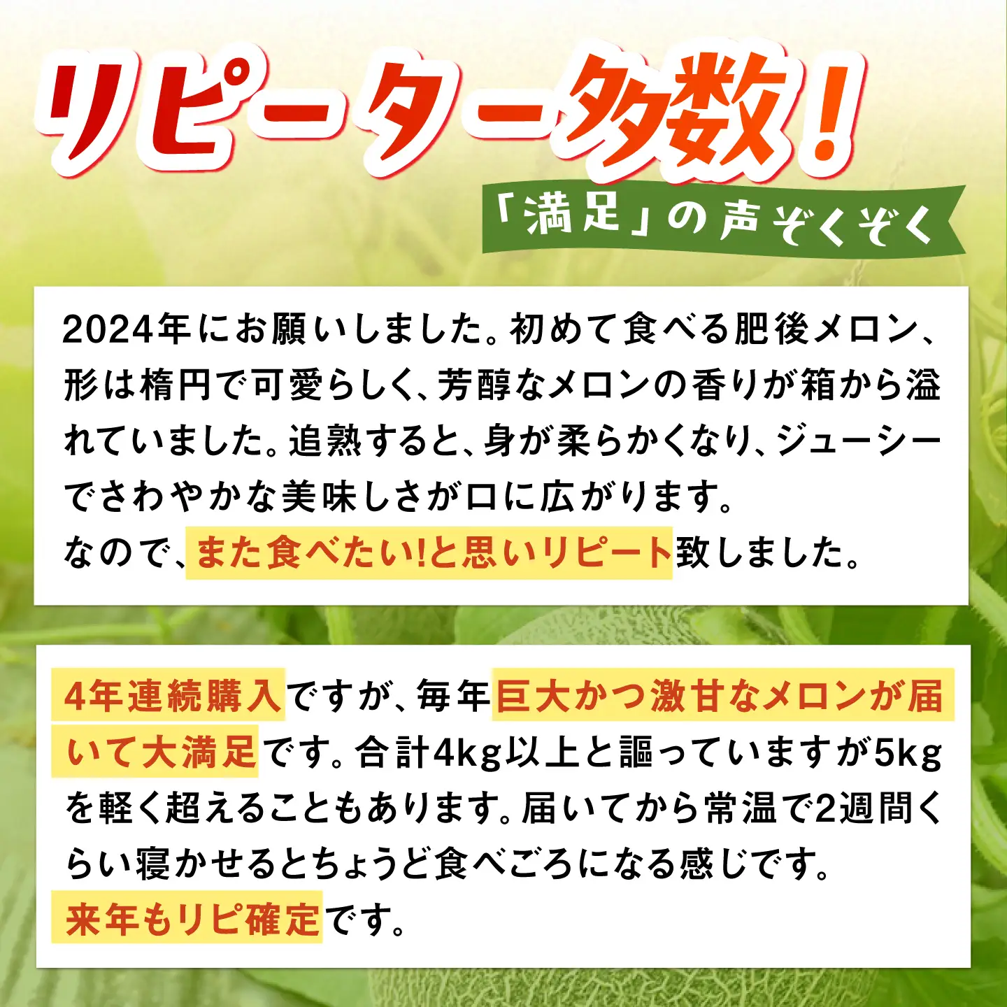 【2026年6月中旬-発送】肥後グリーンメロン 2玉 SCB063 メロン