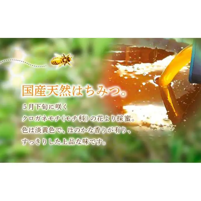 養蜂研究所が提供する「(井上養蜂) 国産 クロガネモチのはちみつ」すっきり上品な蜂蜜
