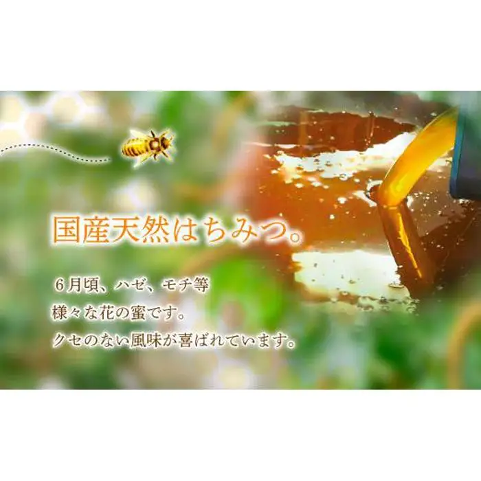 養蜂研究所が提供する「(井上養蜂) 国産 百花上蜜」はちみつ まろやか蜂蜜