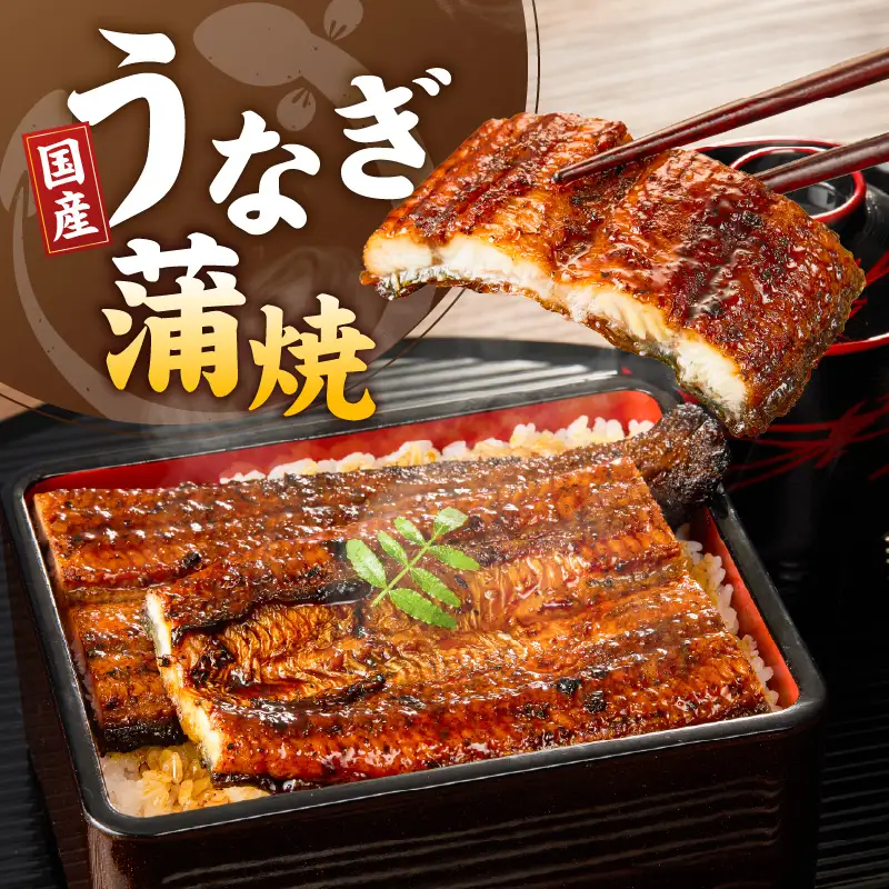 うなぎの蒲焼 2尾セット（特大サイズ 一尾 170g～200g）_うなぎ 蒲焼 2尾 セット 特大サイズ 一尾170g～200g たれ付き 鰻専門問屋 樋口商店 鹿児島 宮崎 国産 ジャポニカ種 真空パック ギフト お取り寄せ グルメ うな丼 うな重 ひつまぶし お土産 手土産 贈り物 プレゼント お中元 職人 送料無料 〔Cu001〕