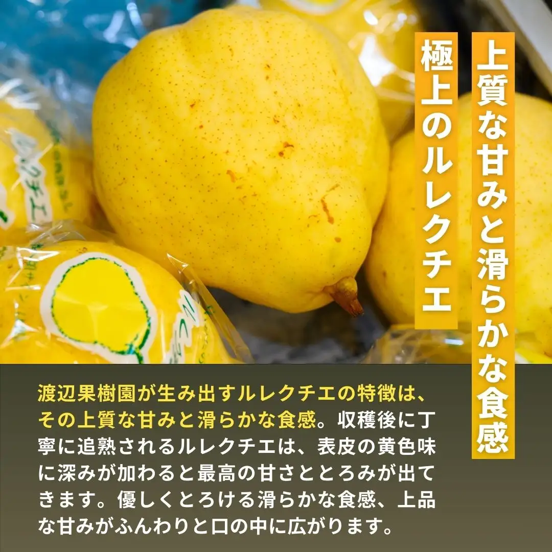 先行予約 ル レクチェ 2kg (4~7玉) 令和8年度 贈答用 洋梨 化粧箱 [渡辺果樹園]
