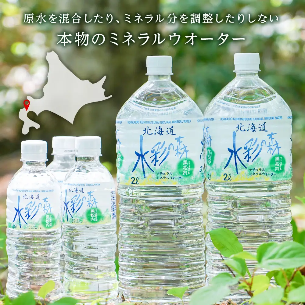 【定期便 6カ月】黒松内銘水 水彩の森 2L×24本（4箱）