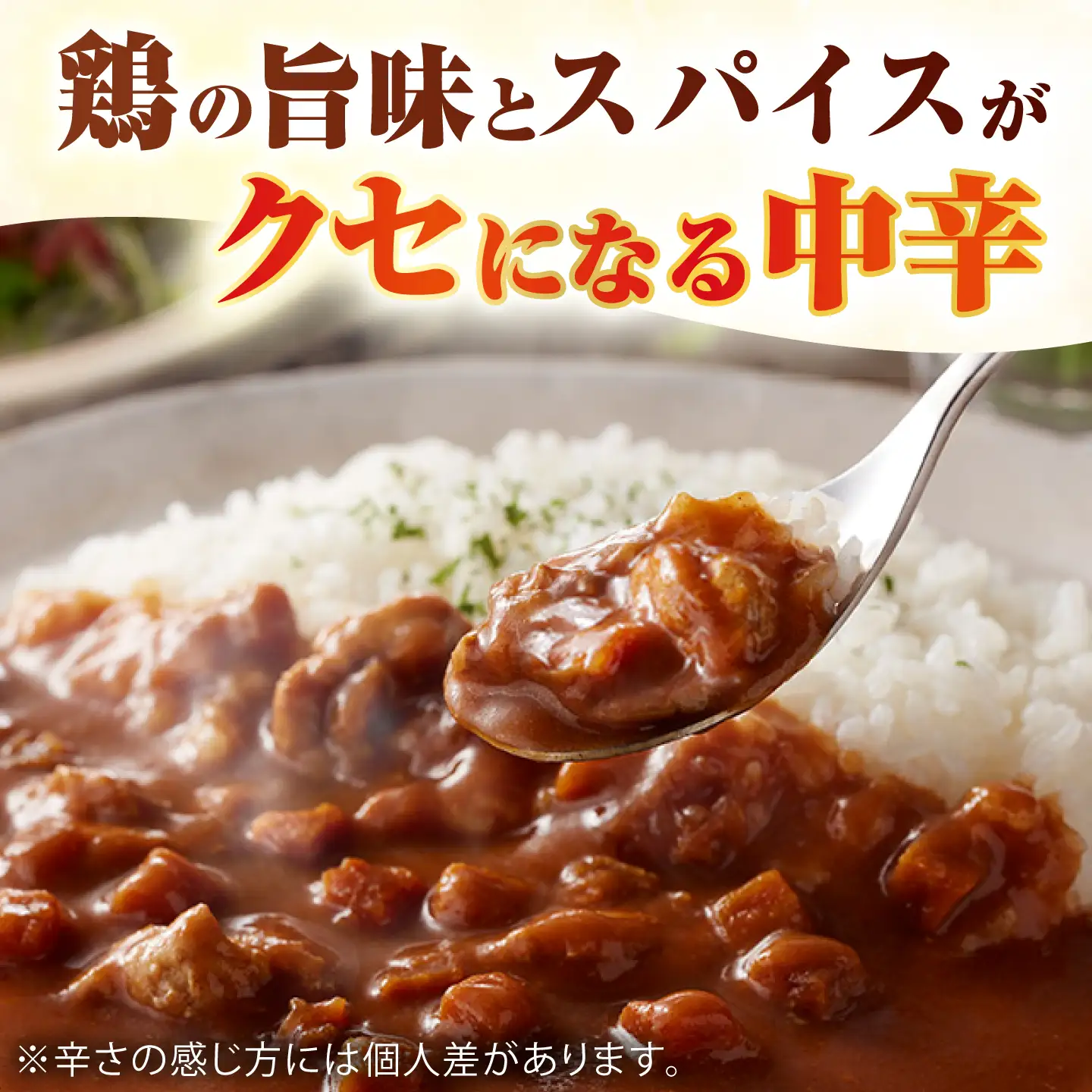 カレー 糸島どりもも肉（24食入） [ACD010] カレー チキンカレー レトルトカレー 常温 