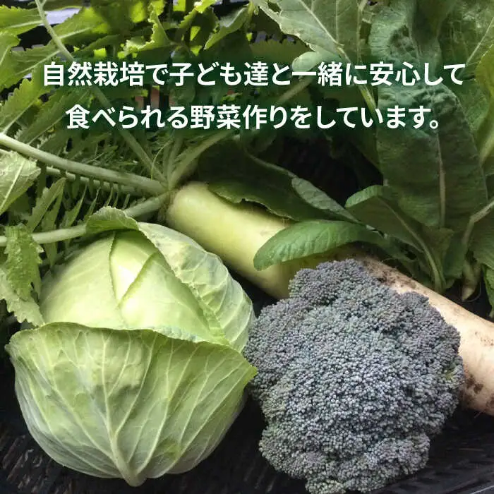 【ふるさと納税】糸島で農業体験(1名) 栽培期間中農薬不使用 無化学肥料 無除草剤の畑で野菜のお世話体験！[AAL001]