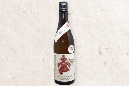 [つがる市寒仕込み] 岩木正宗つがる JOMONラベル 純米吟醸・特別純米酒 720ml×2本セット (竹浪酒造店) [0528]