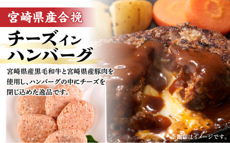 宮崎県産豚 ロース1kg&チーズインハンバーグ5個 セット