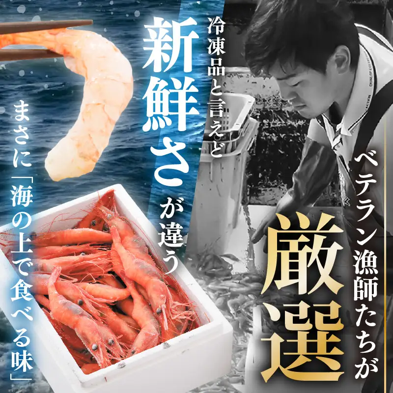 【発泡箱入り】 甘えび 550g 中サイズ エビ 冷凍 [A-23108]