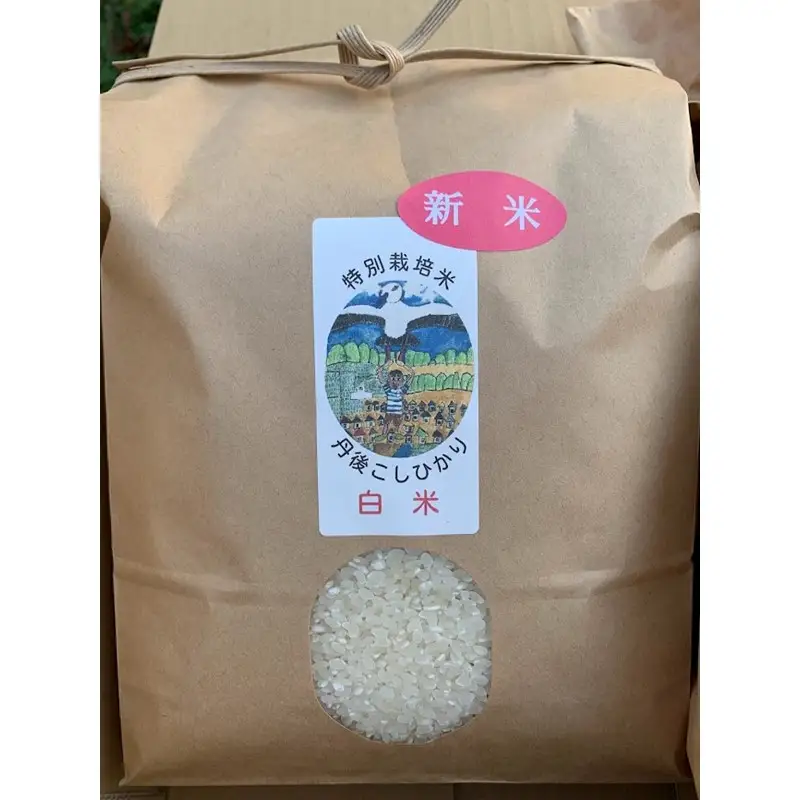 【予約受付】特別栽培米丹後こしひかり3kg＆新興梨5～6個（2026年10月上旬～発送）