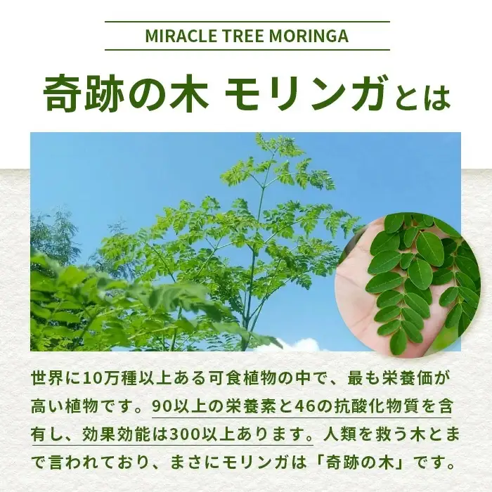 モリンガお試し３点セット　MR-004