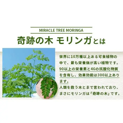 モリンガ２点セット１ MR-5-1