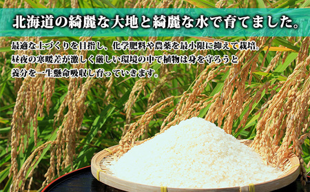 【北海道富良野産】令和6年産 ゆめぴりか 10kg お米 米 ご飯 ごはん 白米