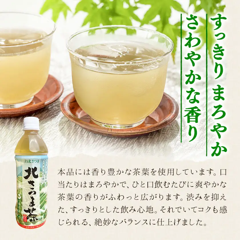 北さつま茶 500ml×24本 北さつま農協《30日以内に出荷予定(土日祝除く)》