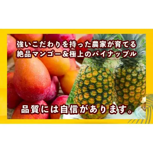 YK-7 當銘さんの完熟カットパイン３袋＆石垣産カットマンゴー２袋（計：１．２５ｋｇ）パイナップル マンゴー