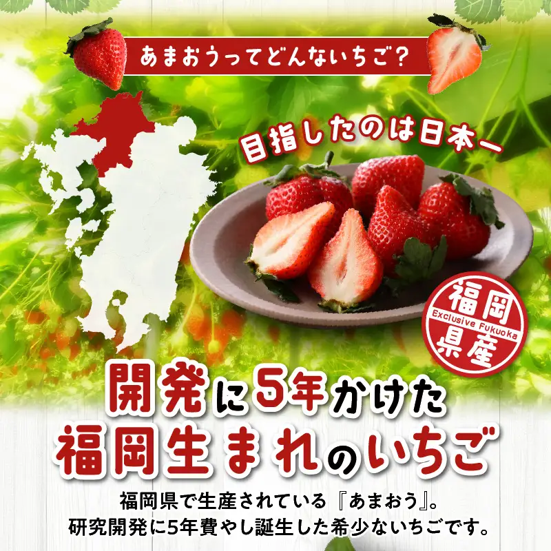 【2027年1月より順次発送】福岡県産 あまおう 約1120g（約280g×4パック）_ いちご 果物 フルーツ〔Fi050〕