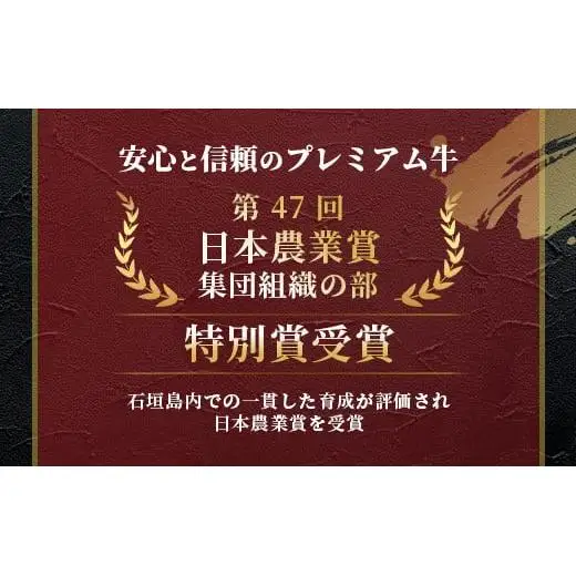 TA-2 石垣牛サーロインステーキ200g×2枚