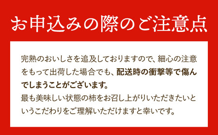【先行予約】ひらたねなし柿 約7.5kg 岸武青果株式会社
