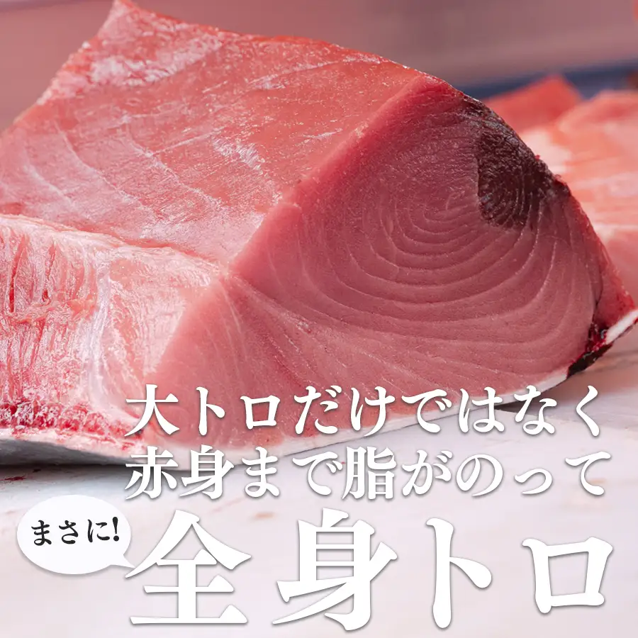 特大 国産 養殖 本マグロ 50kg以上 一本丸ごと 本まぐろ 丸ごと1本 解体ショー イベント