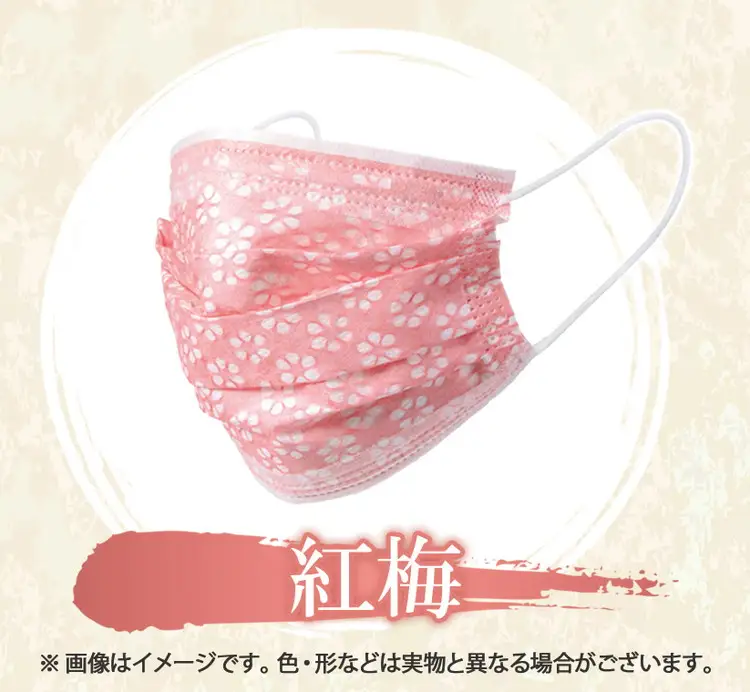 国産和紙　サージカルマスク　４種類×20枚 (173090-40037413)