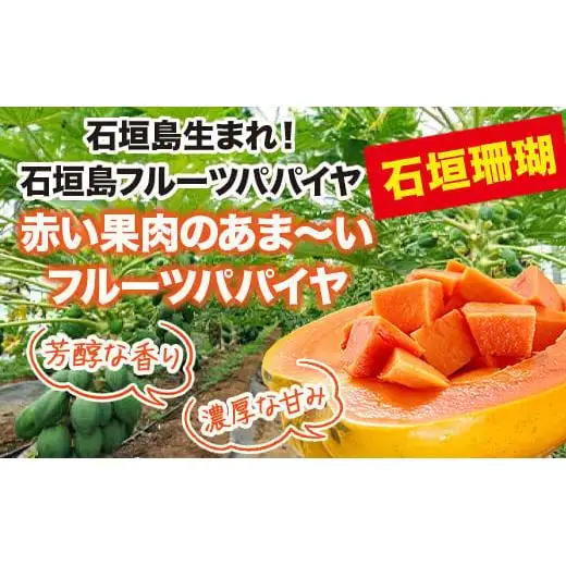 フルーツパパイヤ４kg