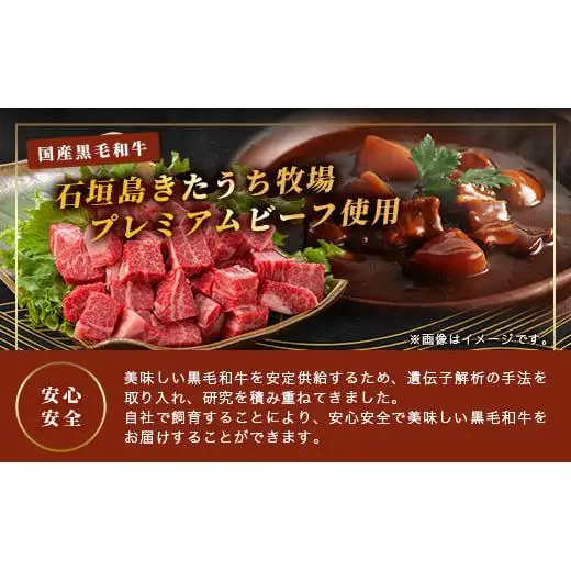 特製レトルトビーフシチュー 5個【総重量1.1Kg】 AM-20