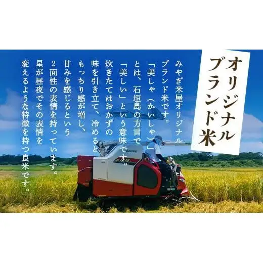 石垣島産 星の美(かい)しゃ 5kg みやぎ米屋　MK-3 