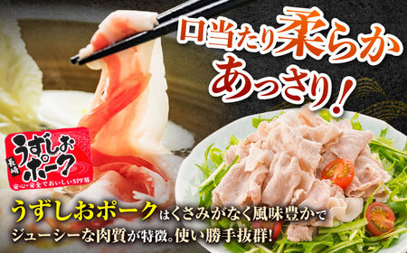 12回定期便 長崎和牛 長崎うずしおポーク 定期便 総計9.1kg CAG254 和牛 定期便