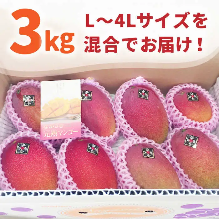 【2027年7月-発送】南島原産 完熟マンゴー 3kg / マンゴー まんごー フルーツ 果物 完熟 期間限定 / 南島原市 / 松川農園 [SAX003]