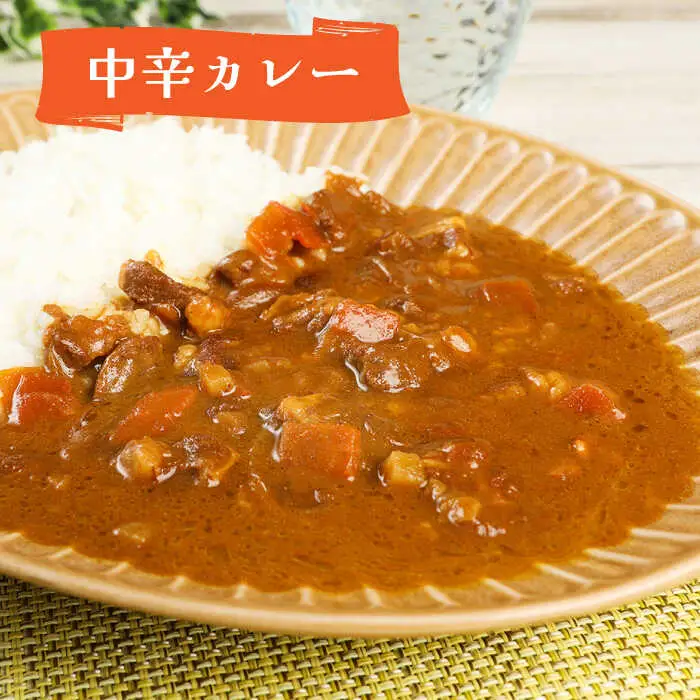 自衛隊 航空自衛隊 築城基地 隊員食堂 カレー [ABAX001] 自衛隊