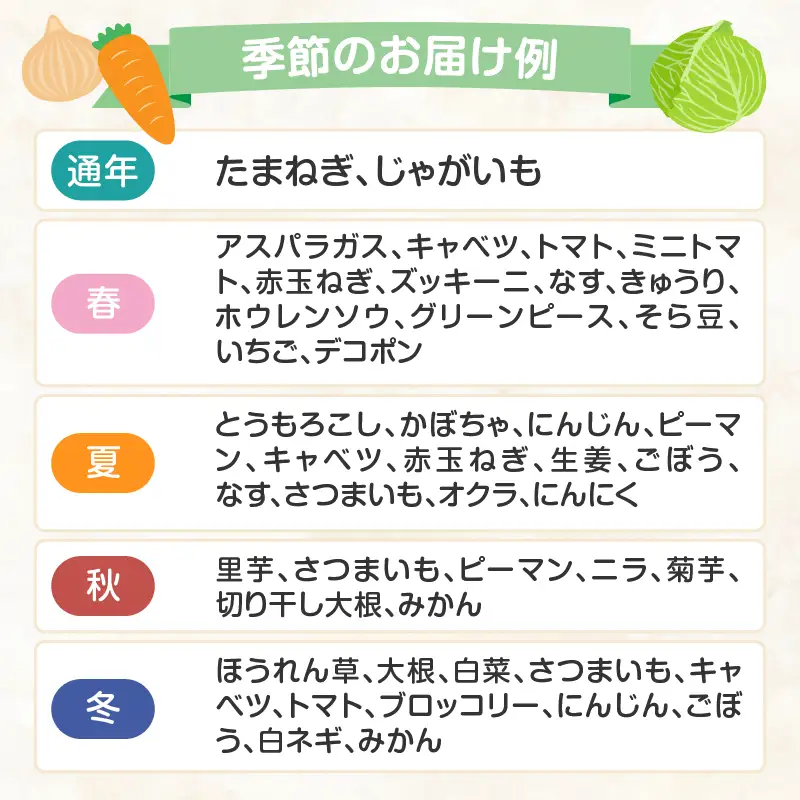 いろどり野菜セット ／ 旬 野菜 【A049】