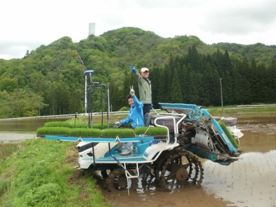 「 悠紀の国 」 五城目町杉沢産　清流米　あきたこまち10kg（精米） お米 白米 ライス ご飯 ブランド米 銘柄米 お弁当 おにぎり 秋田県産 食卓 産地直送 主食 炭水化物 