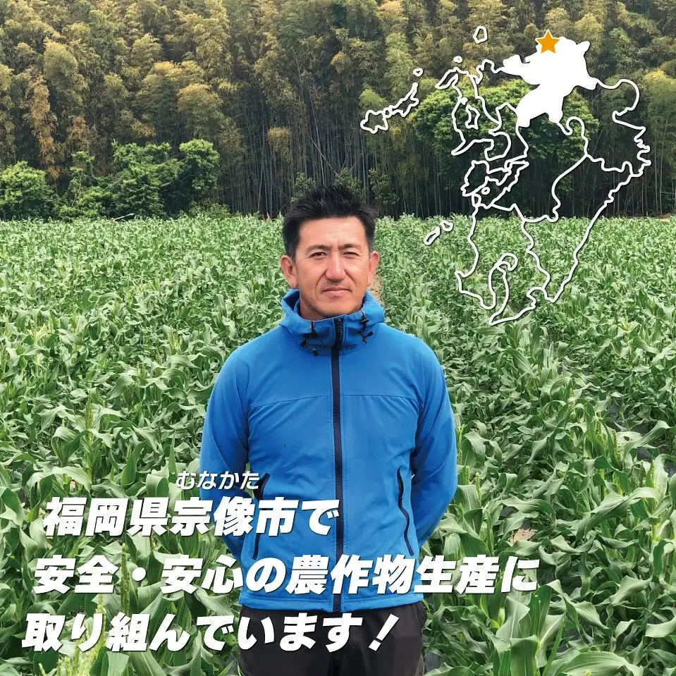 JAむなかた直送「厳選スイートコーン」2Lサイズ以上 10本入り【JAほたるの里】_HA0272