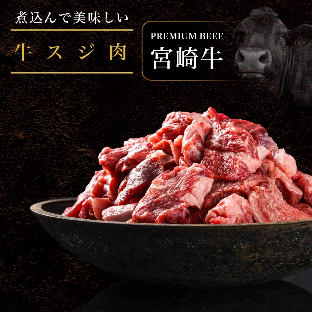 都城産宮崎牛サーロインステーキ400g＆牛スジ肉1kg〔28-4201〕_(都城市) 都城産宮崎牛 サーロインステーキ 200g×2枚 牛スジ肉（真空）500g×2袋 ギフト 贈答用
