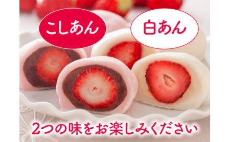【2023年1月上旬より順次発送】【ふるさと納税限定】博多あまおう ごろっと苺大福 計16個 イチゴ 和菓子 大福 贈答