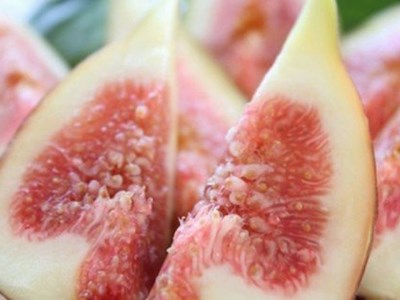 天然の地熱で旨味を凝縮！南小国産ドライイチジク (5袋セット) 40g 5袋 地熱 国産 南小国産 ドライイチジク ドライフルーツ イチジク いちじく オーガニック おやつ 持ち運び ギフト 贈答用 fig310 熊本 阿蘇 南小国町 送料無料