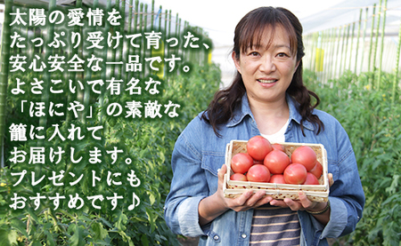 【先行受付】トマトジュース 無添加 瓶 フルトマ籠のセット（フルーツトマト500g+ジュース2本） 野菜ソムリエが育てた 数量限定 うしの恵 - 野菜 フレッシュ さっぱり 酸味 ギフト 贈答 お礼 御礼 美味しい おいしい 国産 高知県 香南市 mj-0036