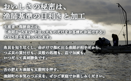 北海道鹿部町産 つぶ貝 600g （300g×2袋） 刺身 不揃い つぶ ツブ ツブ貝 つぶ貝
