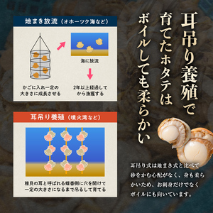 【訳あり】蒸しほたて 800g 北海道噴火湾産 サイズ不選別 ほたて mr1-0927