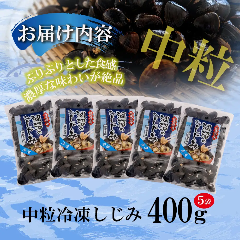 訳あり 涸沼産 中粒 冷凍 シジミ 2kg(400g×5袋) _CB004