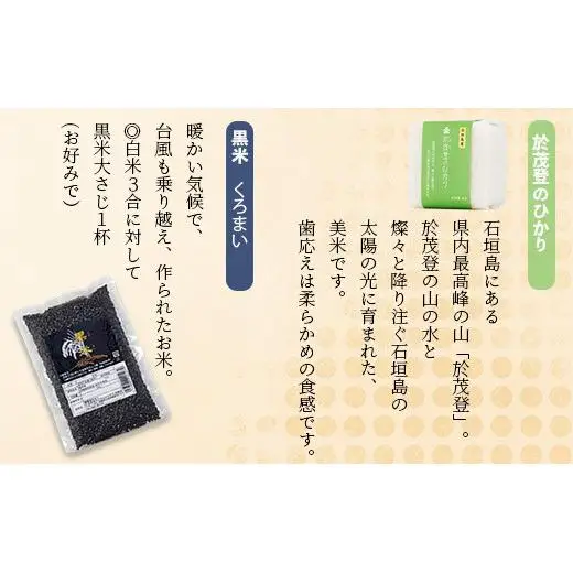 石垣島産お米の食べ比べセット 合計1.1kg　KB-15